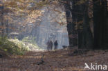 Nationaal park Utrechtse Heuvelrug