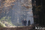 Nationaal park Utrechtse Heuvelrug