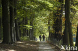 National Park Veluwezoom