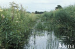 Nationaal Park Weerribben-Wieden