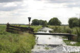 Natuurreservaat Berkenwoudse Driehoek