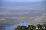 Ngorongoro National Park