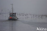 Noordpolderzijl