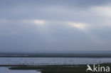 Noordpolderzijl