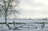 Polder Mastenbroek