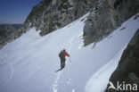 Pyrenees