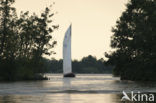 Reeuwijkse Plassen