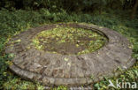 Schokland