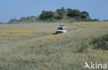 Serengeti National Park