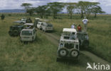 Serengeti National Park