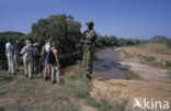 Shaba National Park