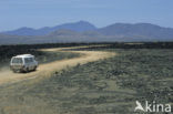 Tsavo West National Park