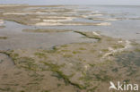 Waddenzee