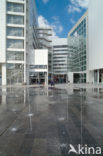 The Hague