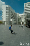 The Hague