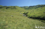 Drakensberg