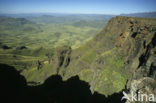 Drakensberg