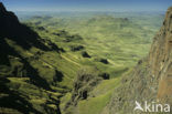 Drakensberg