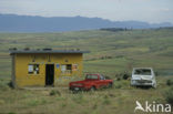 Drakensberg