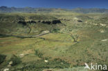 Drakensberg