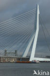 Erasmusbrug