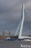 Erasmusbrug