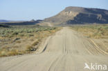 Fish River Canyon