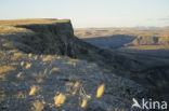 Fish River Canyon