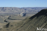 Fish River Canyon