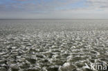 IJsselmeer