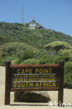 Cape of Good Hope