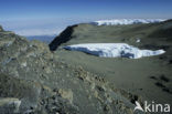 Kilimanjaro