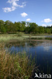 Kootwijkerveen