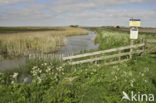 Lage land van Texel