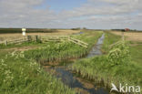 Lage land van Texel