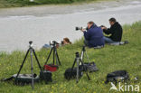 Lage land van Texel