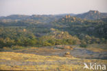 Matopos national park