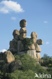 Matopos national park