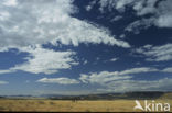 Namib naukluft national park