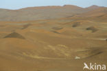 Namib naukluft national park