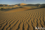 Namib naukluft national park