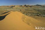 Namib naukluft national park