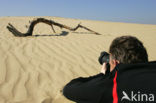 National Park De Hoge Veluwe