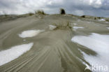 Nationaal Park Duinen van Texel