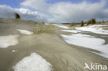 Nationaal Park Duinen van Texel