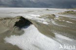 Nationaal Park Duinen van Texel