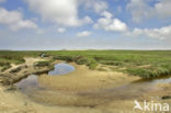 National Park Duinen van Texel 