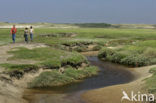 National Park Duinen van Texel 