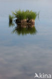 Nationaal Park Fulufjället