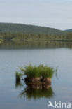 Nationaal Park Fulufjället